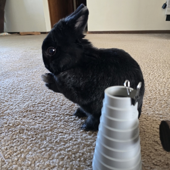 Moss Agate Rondelle Bracelet - Picture 11 of 14